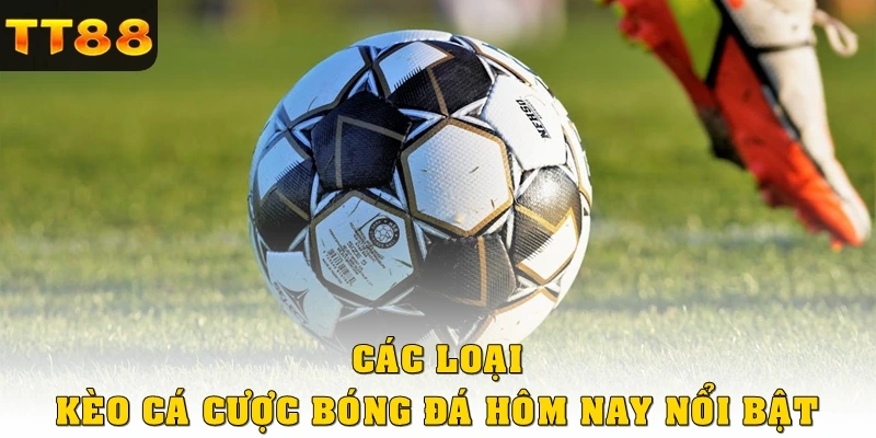 Các loại kèo cá cược bóng đá hôm nay TT88 nổi bật