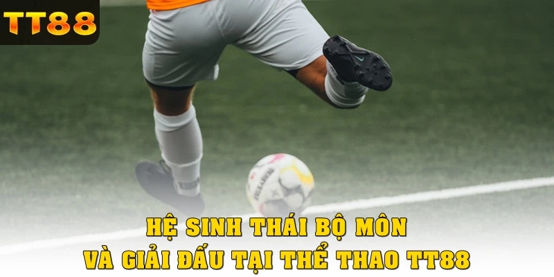 Hệ sinh thái bộ môn và giải đấu tại thể thao TT88
