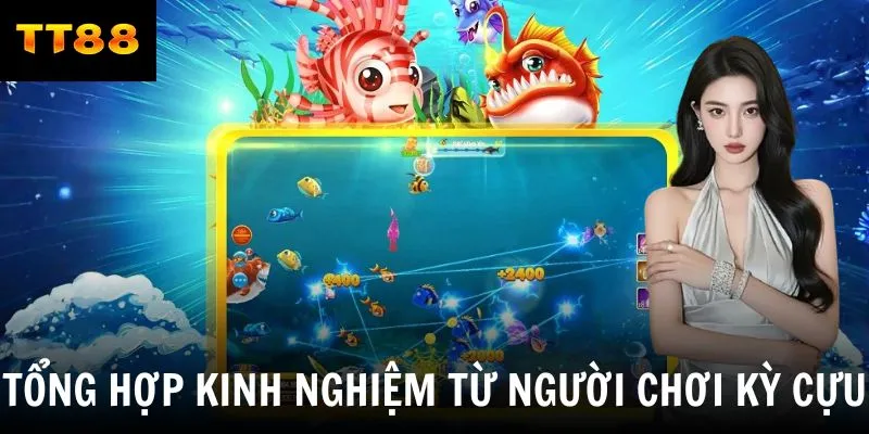 Tổng hợp kinh nghiệm từ những người chơi kỳ cựu